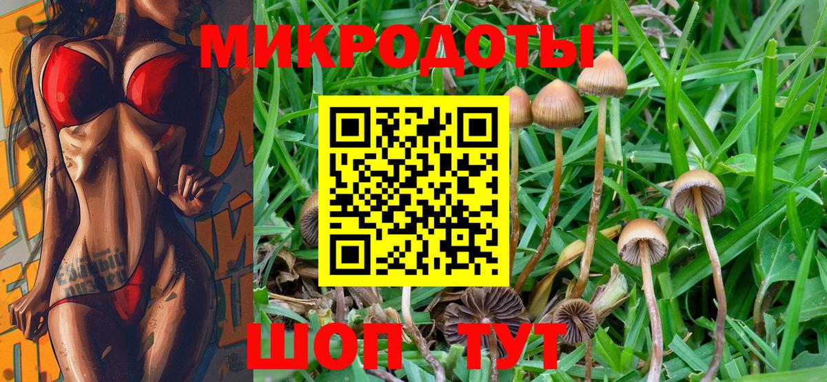 Волоколамск  Псилоцибиновые грибы MAGIC MUSHROOMS  Вход с VPN 