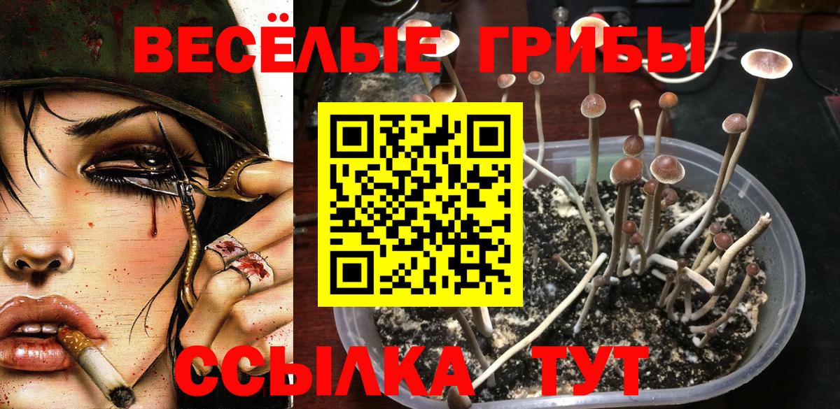 Галлюциногенные грибы прущие грибы Волоколамск